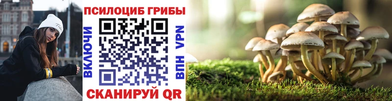 Псилоцибиновые грибы GOLDEN TEACHER  сколько стоит  Бутурлиновка 